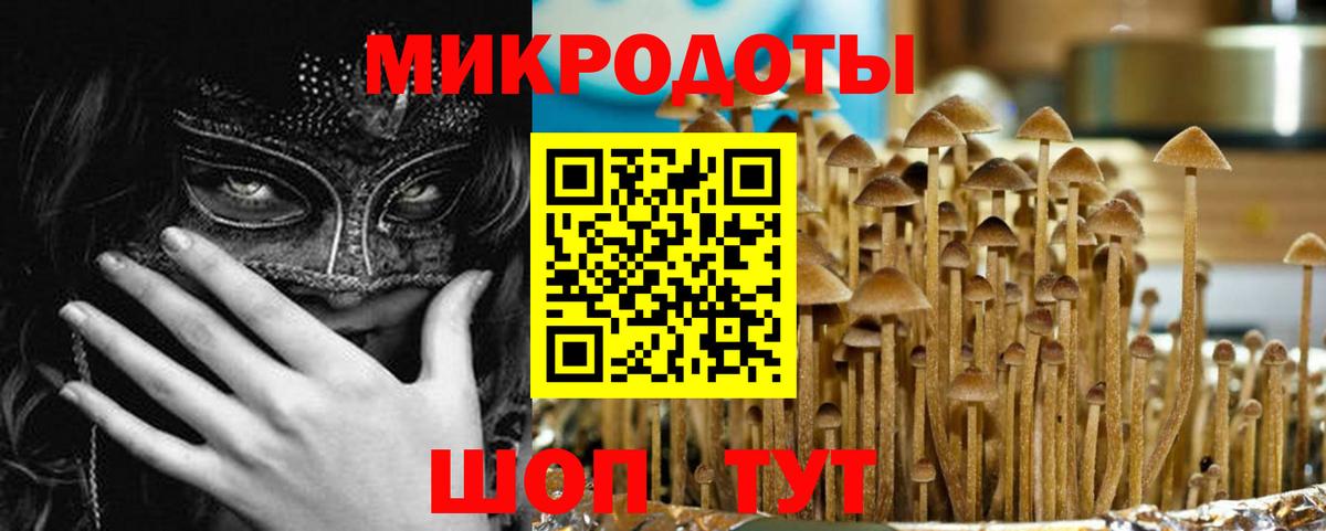 Псилоцибиновые грибы MAGIC MUSHROOMS  Галлюциногенные грибы Magic Shrooms  Полевской  Вход с VPN 